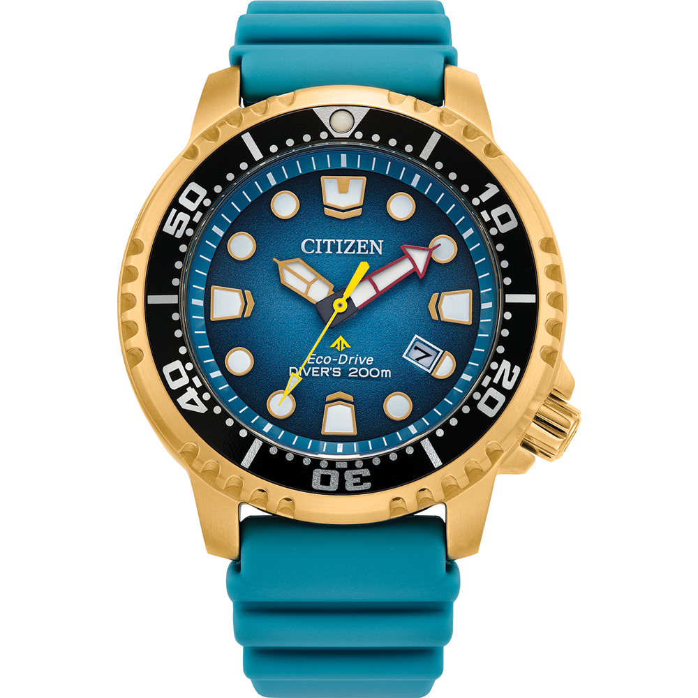 attesa Promaster Diver