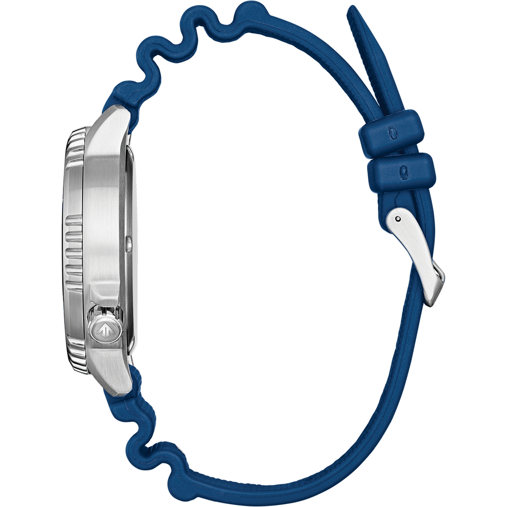 Attesa Promaster Diver