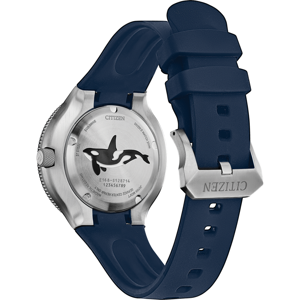 Attesa Promaster Diver