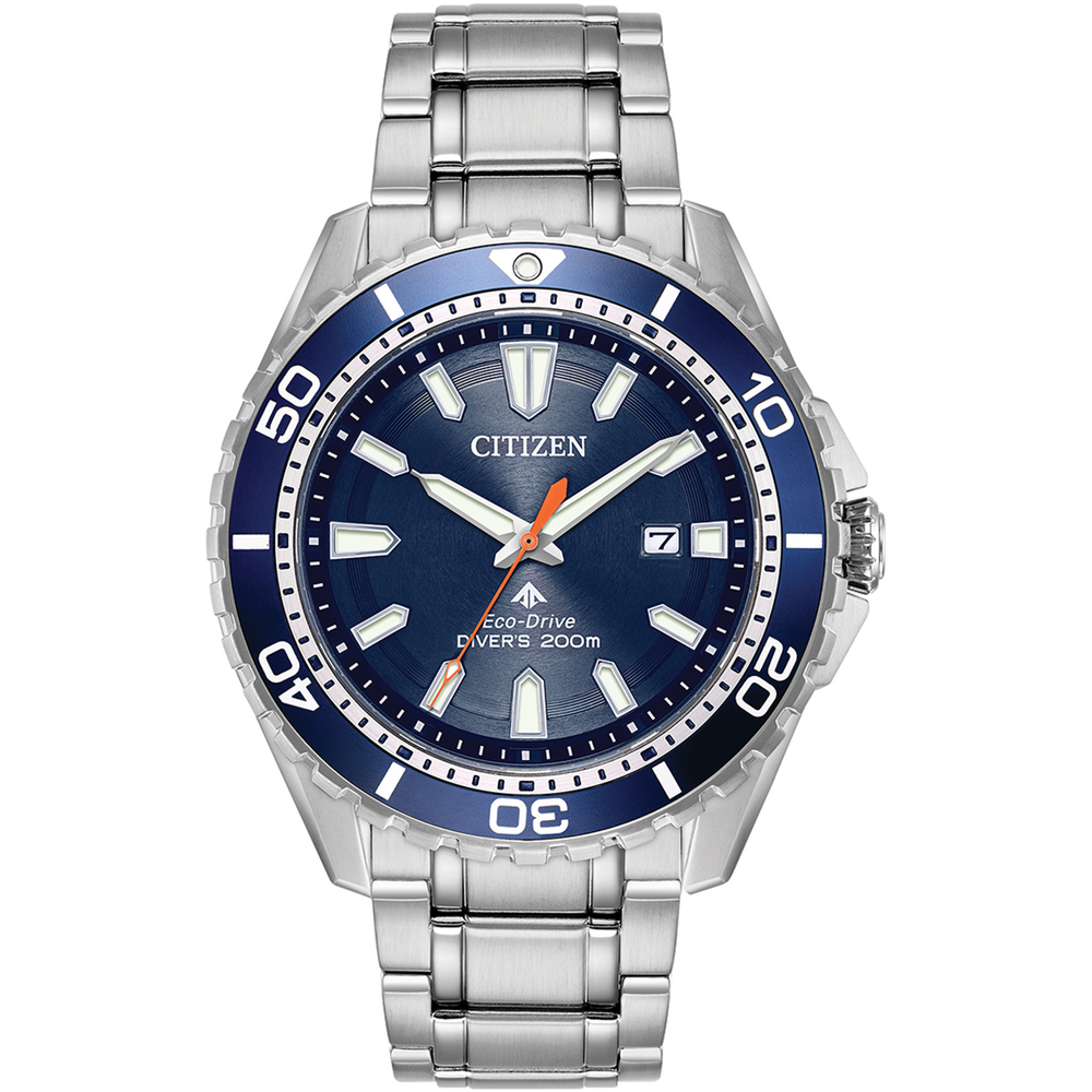 attesa Promaster Diver