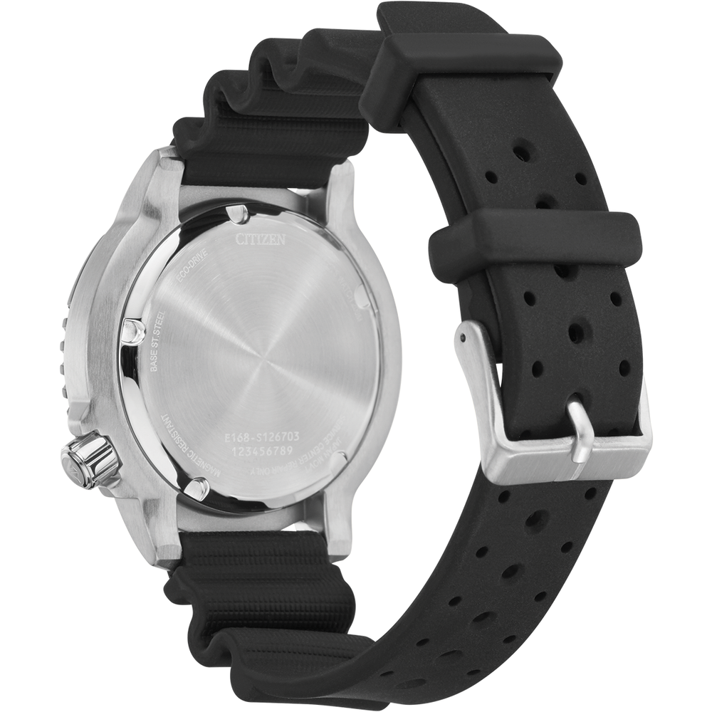 Attesa Promaster Diver