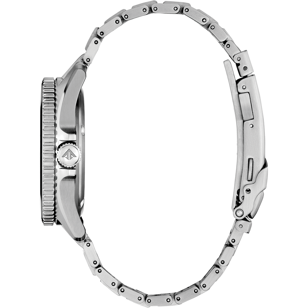 Attesa Promaster Diver