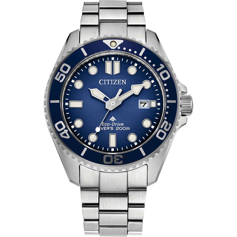 attesa Promaster Diver