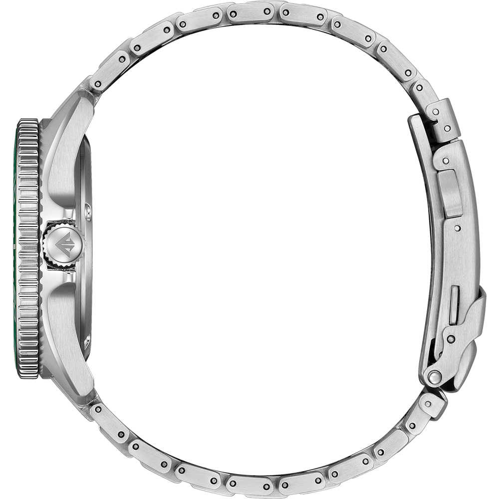 Attesa Promaster Diver