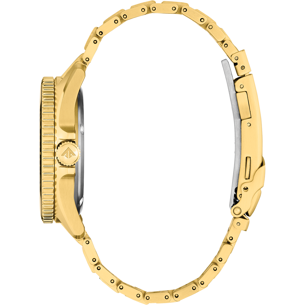 Attesa Promaster Diver