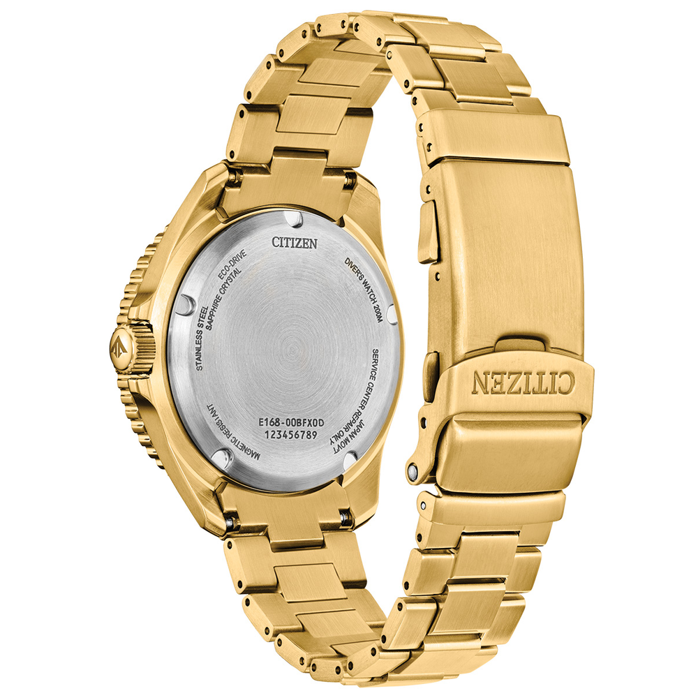 Attesa Promaster Diver