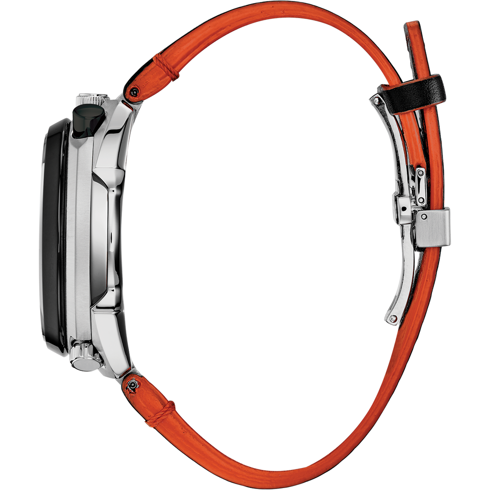 Attesa Limited Edition Promaster Bullhead Racing Chronograph