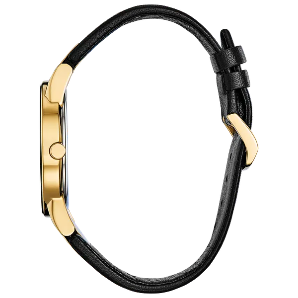 Au Maison Citizen Axiom Men's Eco-Drive Gold Black Dial Watch