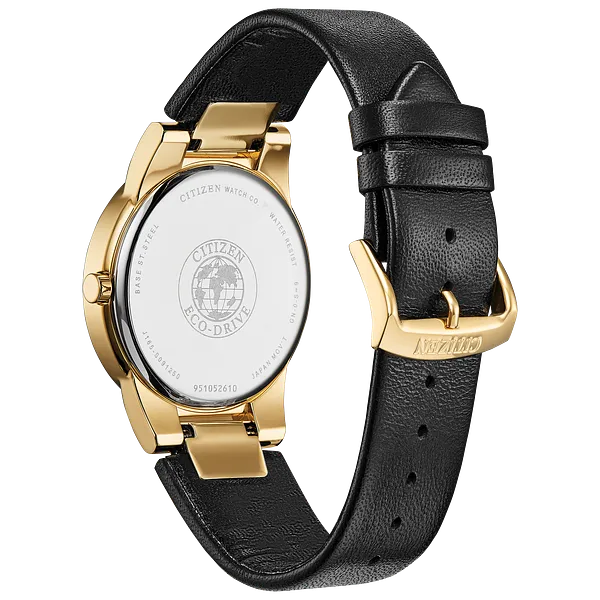 Au Maison Citizen Axiom Men's Eco-Drive Gold Black Dial Watch