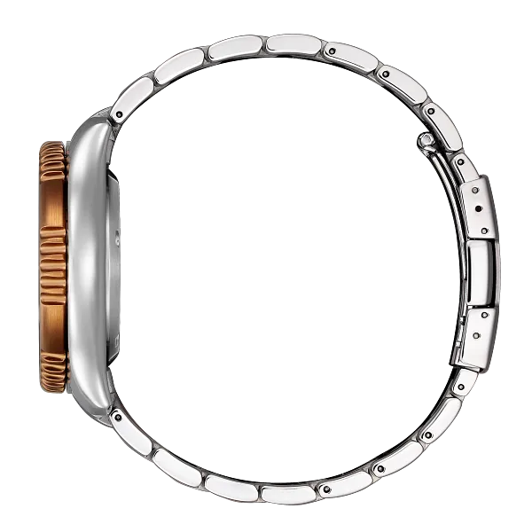 Au Maison Promaster Dive Automatic Brown Dial Stainless Steel Bracelet NY0164-65X