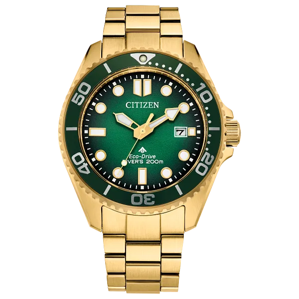 au maison Promaster Dive Green Dial Stainless Steel Bracelet BN0262-59W