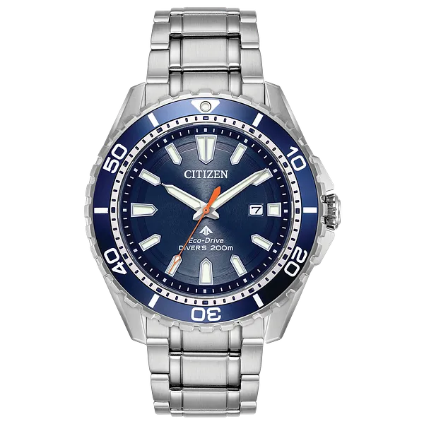 au maison Promaster Diver - Men's Steel Blue Dial BN0191-55L Watch