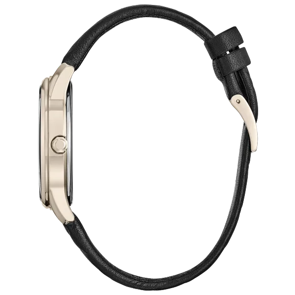 Au Maison Ratatouille Black Dial Leather Strap FE7103-04W