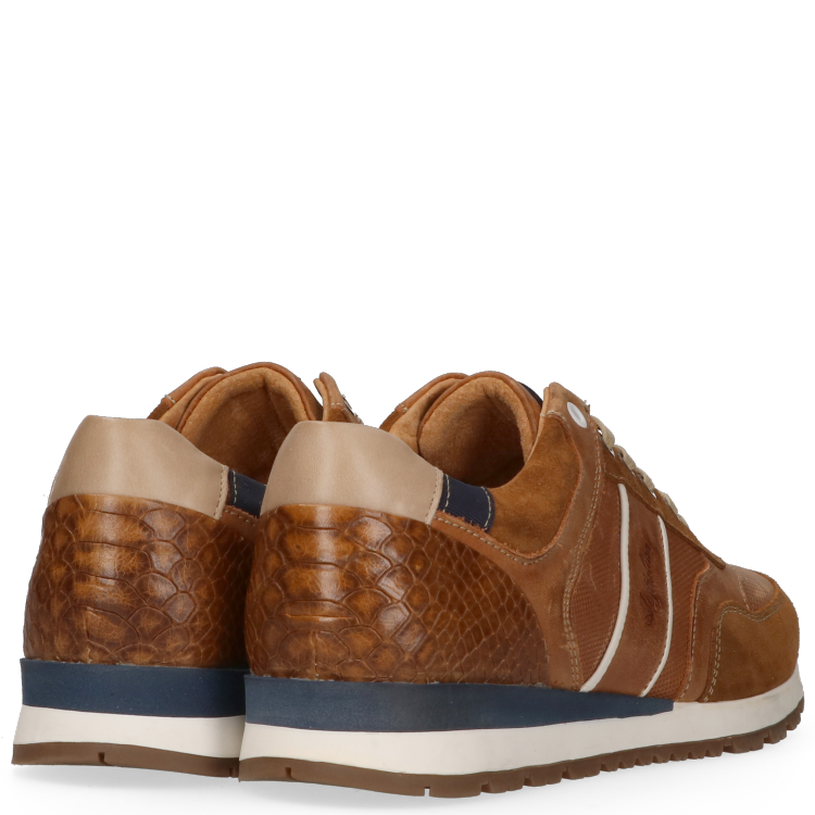 Australian Footware Navarone Sneakers Cognac