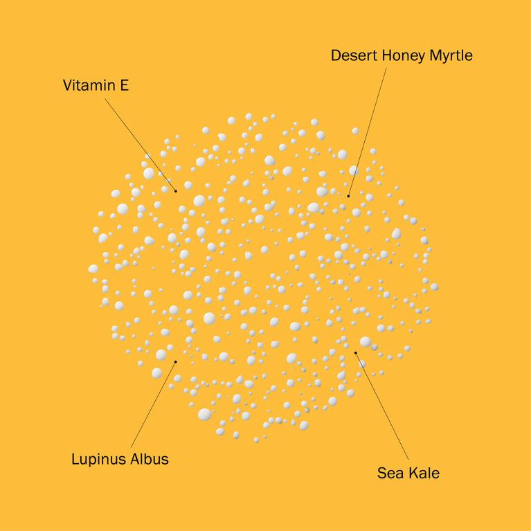 Australian Gold SPF 50 Face & Scalp Mist 3.4 Fl Oz