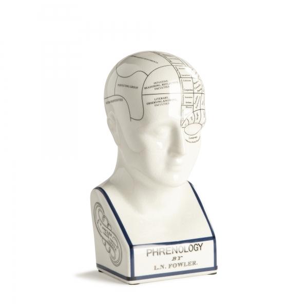 authentic models Phrenology Head Small