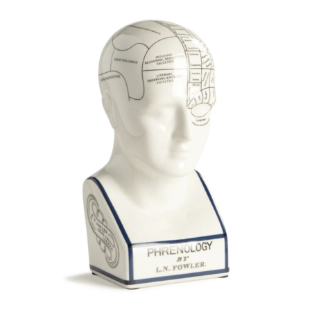 authentic models Phrenology Head