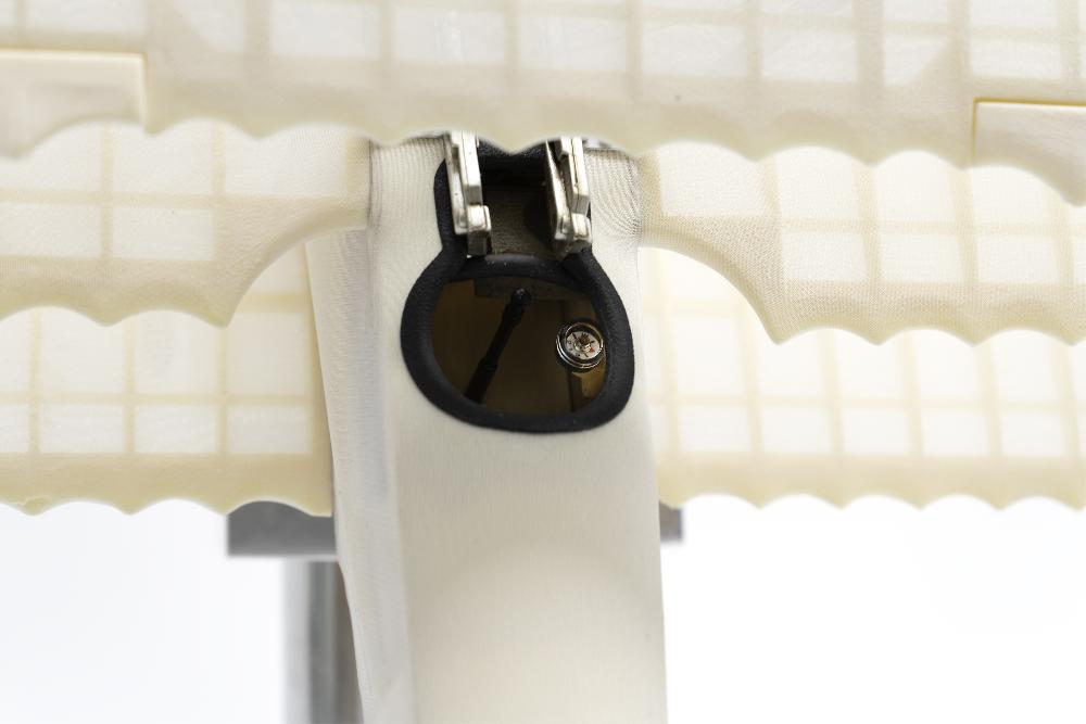 Authentic Models Triplane Transparent