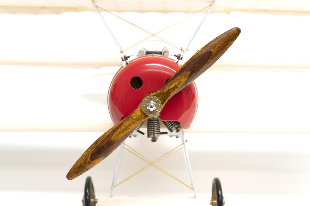 Authentic Models Triplane Transparent
