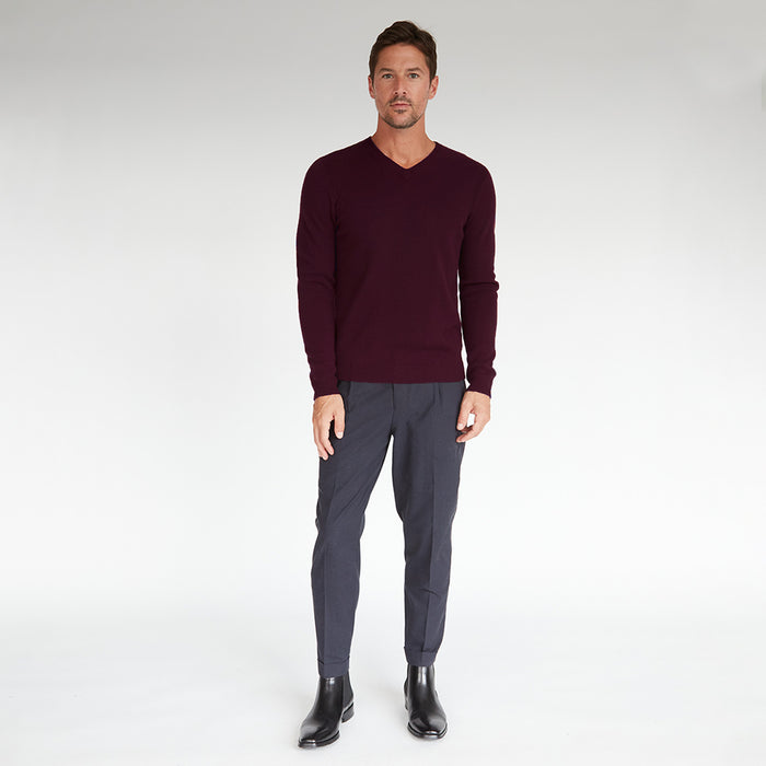Autumn Cashmere Basic V-Neck In Lava Burgundy