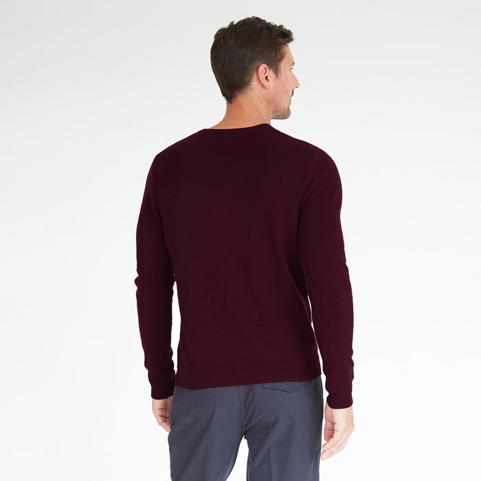Autumn Cashmere Basic V-Neck In Lava Burgundy