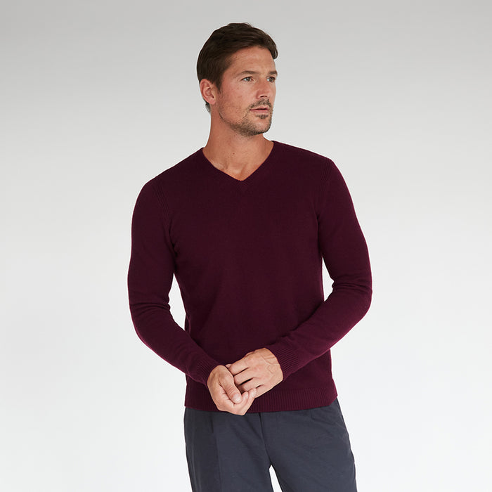 autumn cashmere Basic V-Neck in Lava Burgundy