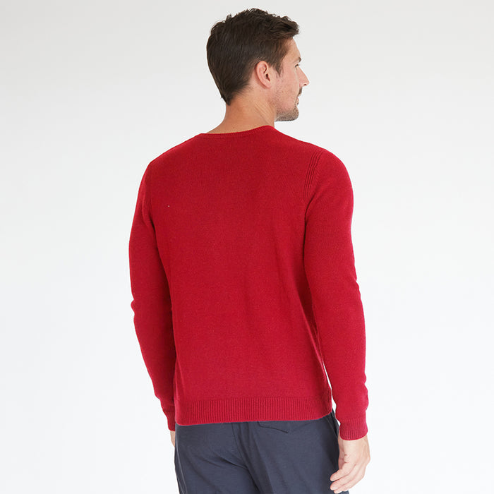 Autumn Cashmere Basic V-Neck In Red