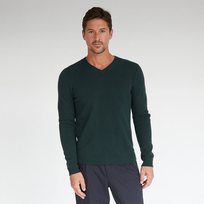autumn cashmere Basic V-Neck in Spruce