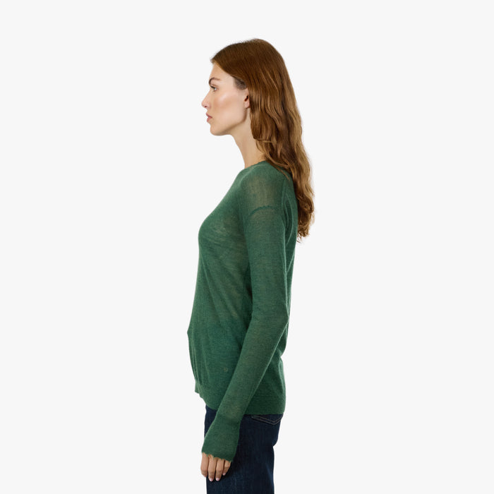 Autumn Cashmere Distressed Sheer Crew In Pickle