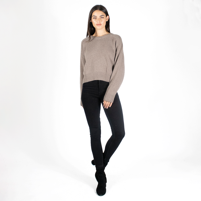 Autumn Cashmere Cropped Boxy Crew Back Yoke In Bark