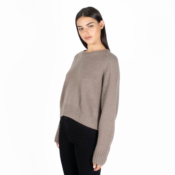 Autumn Cashmere Cropped Boxy Crew Back Yoke In Bark