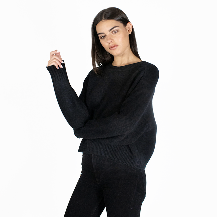 Autumn Cashmere Cropped Boxy Crew Back Yoke In Ebony