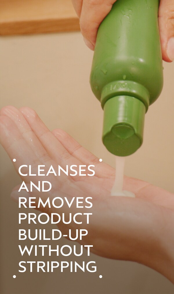 aveda be curly advanced™ shampoo