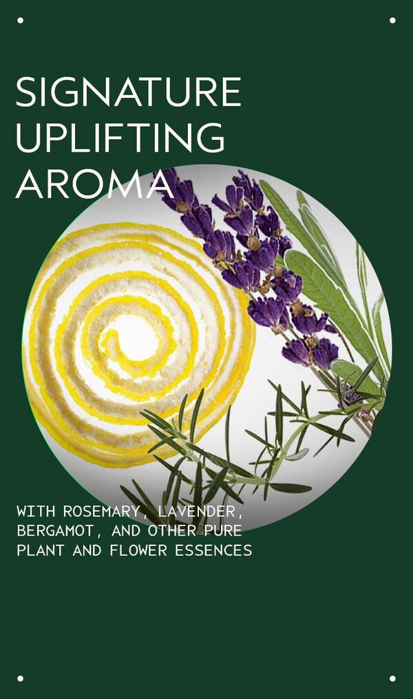 Aveda Beautifying Body Moisturizer