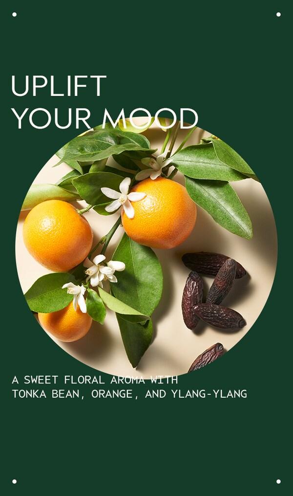Aveda Cherry Almond Body Lotion