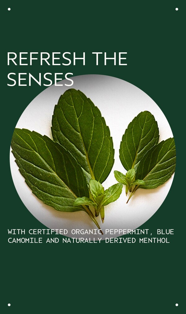 Aveda Cooling Balancing Oil Concentrate