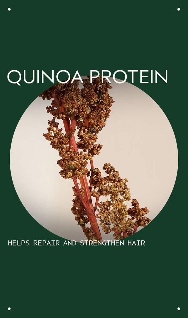 Aveda Damage Remedy™ Restructuring Shampoo| Aveda