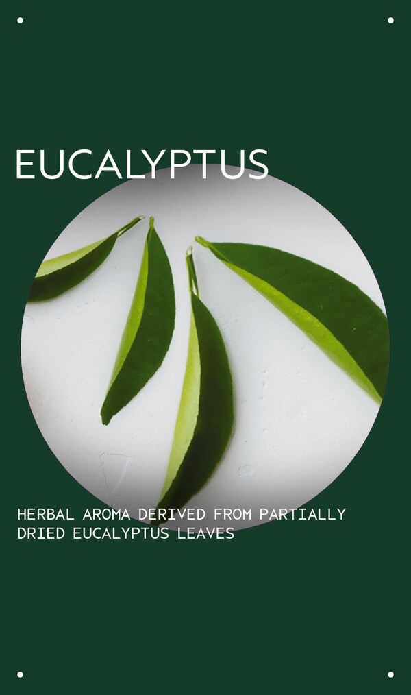 Aveda Eucalyptus Essential Oil + Base