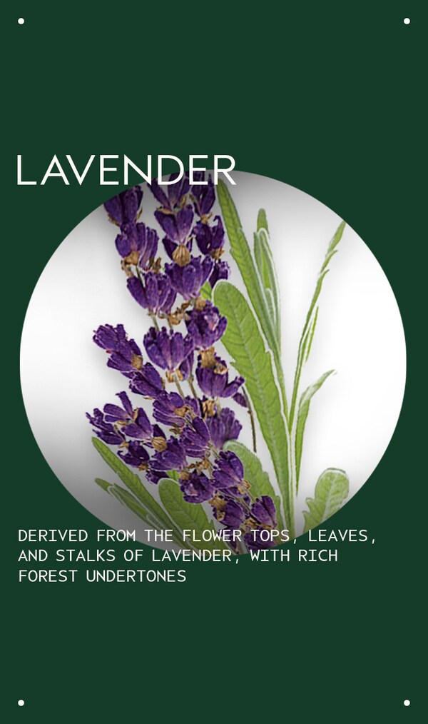 Aveda Lavender Essential Oil + Base