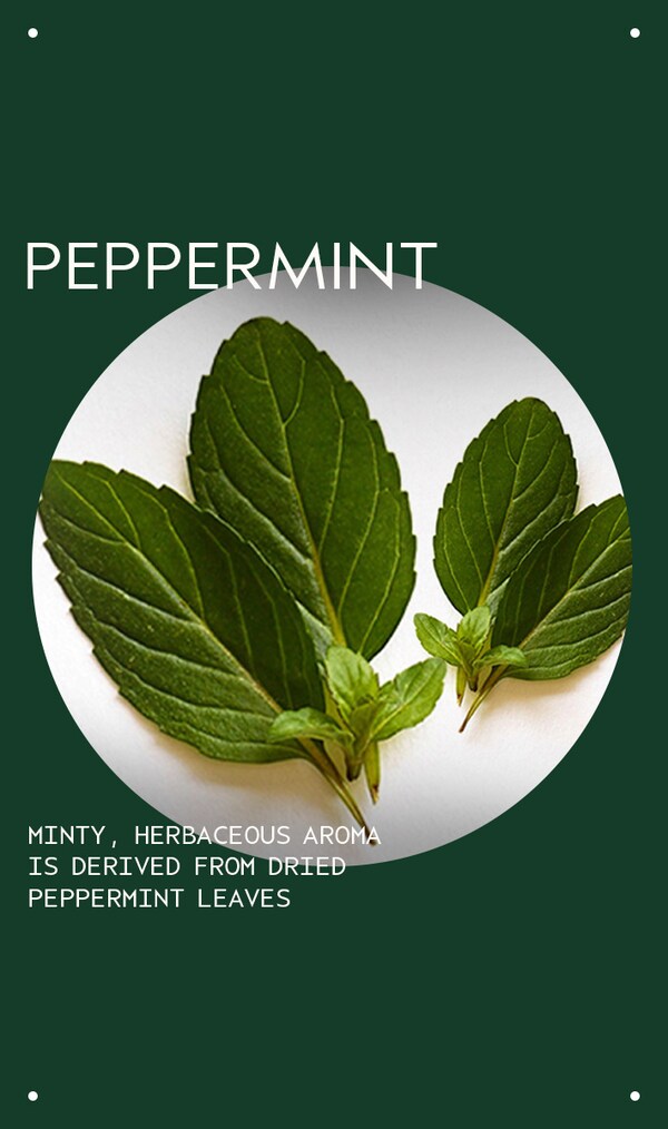 Aveda Peppermint Essential Oil + Base