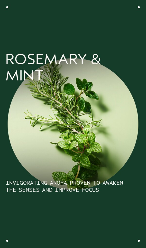Aveda Rosemary Mint Body Lotion