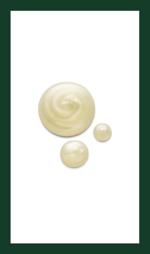 Aveda Rosemary Mint Hand And Body Wash