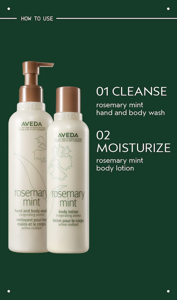 Aveda Rosemary Mint Hand And Body Wash