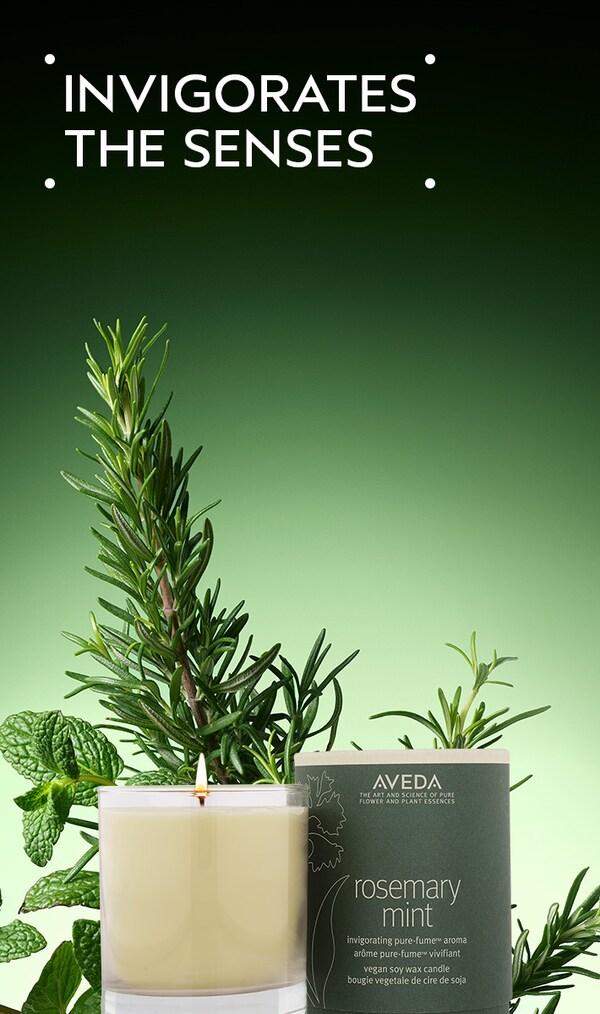 aveda rosemary mint vegan soy wax candle