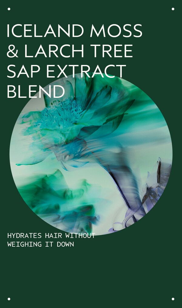 Aveda Sap Moss Hydrating Shampoo