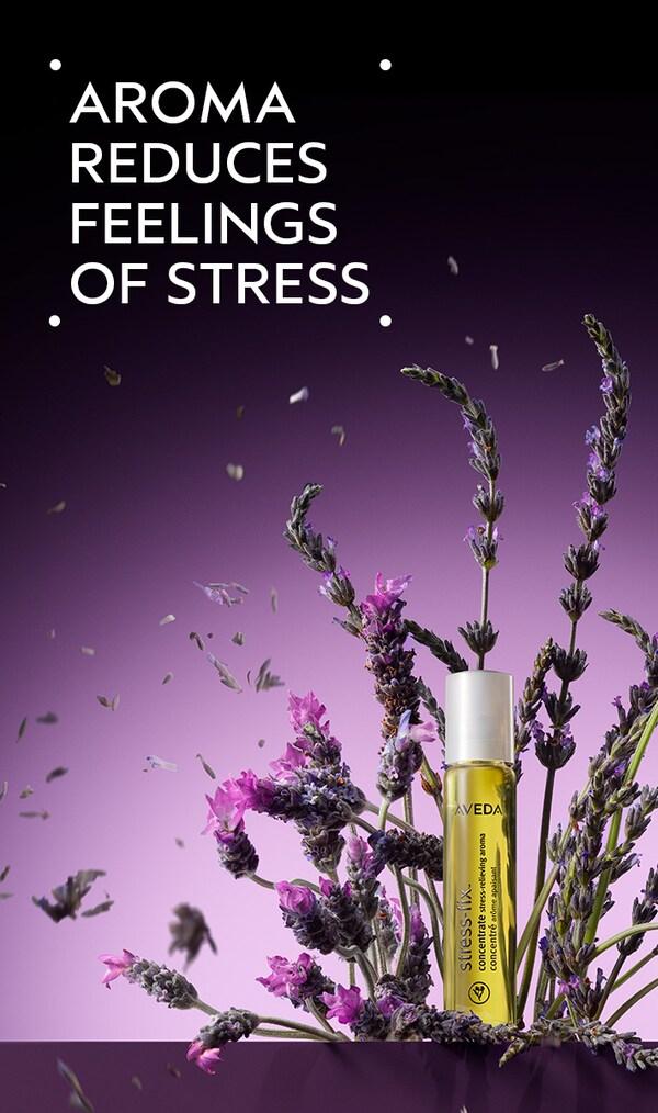 aveda stress-fix™ concentrate