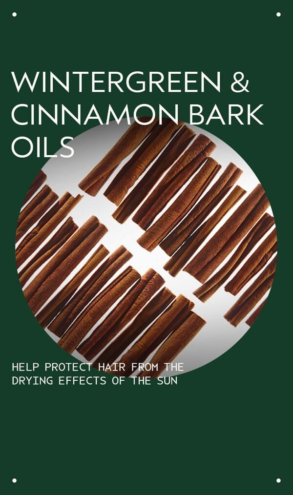 Aveda Sun Care Protective Hair Veil