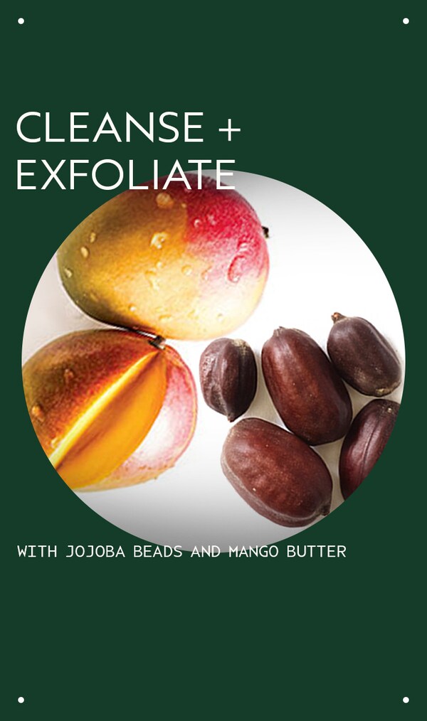 Aveda Botanical Kinetics™ Exfoliating Creme Cleanser