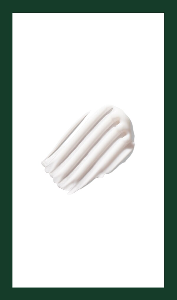 Aveda Botanical Kinetics™ Purifying Creme Cleanser