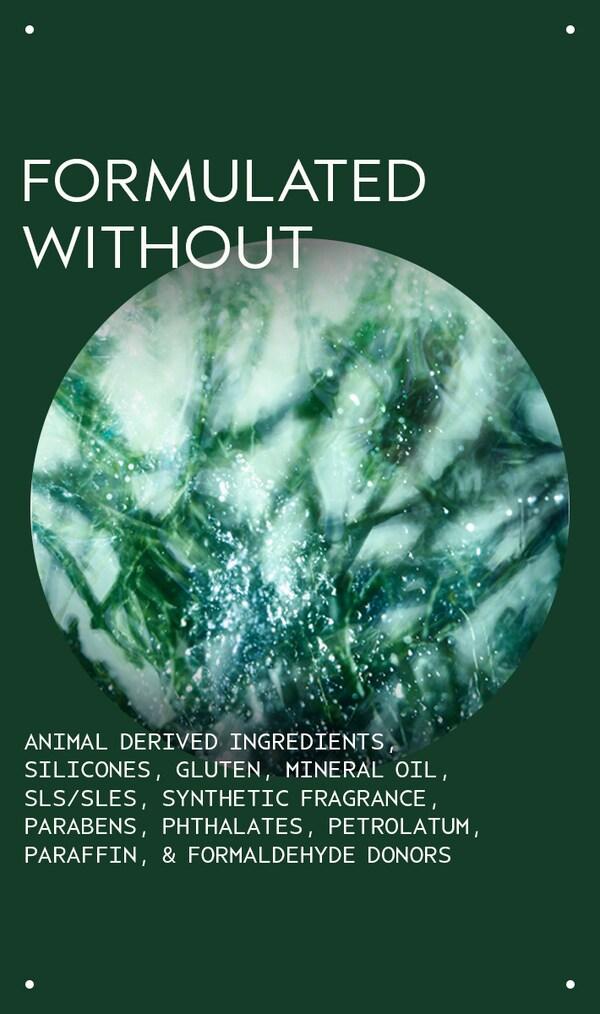 Aveda Botanical Kinetics™ Purifying Creme Cleanser